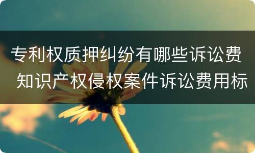 专利权质押纠纷有哪些诉讼费 知识产权侵权案件诉讼费用标准