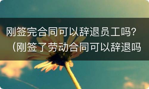 刚签完合同可以辞退员工吗？（刚签了劳动合同可以辞退吗）