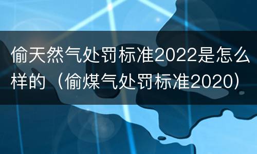 偷天然气处罚标准2022是怎么样的（偷煤气处罚标准2020）