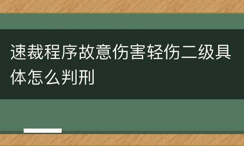 速裁程序故意伤害轻伤二级具体怎么判刑