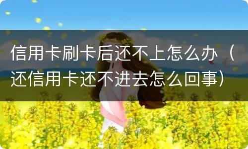 信用卡刷卡后还不上怎么办（还信用卡还不进去怎么回事）