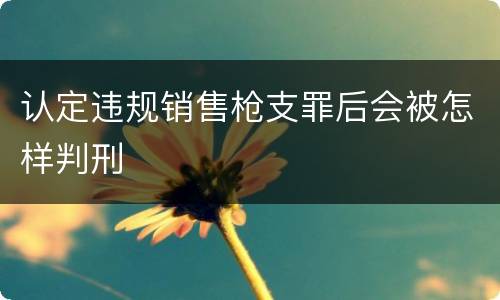 认定违规销售枪支罪后会被怎样判刑