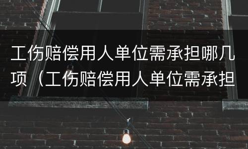 工伤赔偿用人单位需承担哪几项（工伤赔偿用人单位需承担哪几项责任）