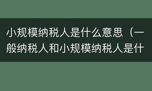 小规模纳税人是什么意思（一般纳税人和小规模纳税人是什么意思）