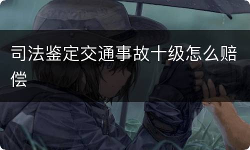 司法鉴定交通事故十级怎么赔偿