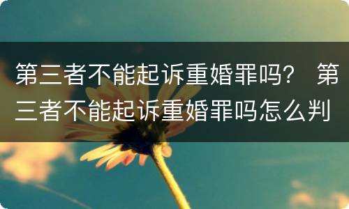 第三者不能起诉重婚罪吗？ 第三者不能起诉重婚罪吗怎么判