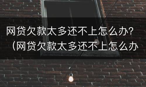 网贷欠款太多还不上怎么办？（网贷欠款太多还不上怎么办呢）