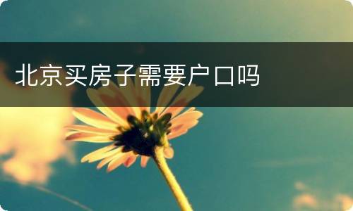 北京买房子需要户口吗