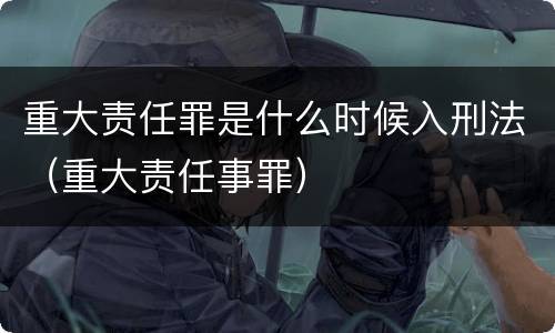 重大责任罪是什么时候入刑法（重大责任事罪）