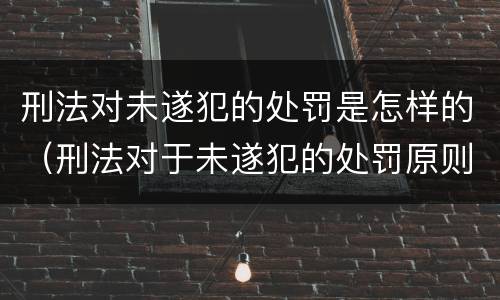 刑法对未遂犯的处罚是怎样的（刑法对于未遂犯的处罚原则是什么）
