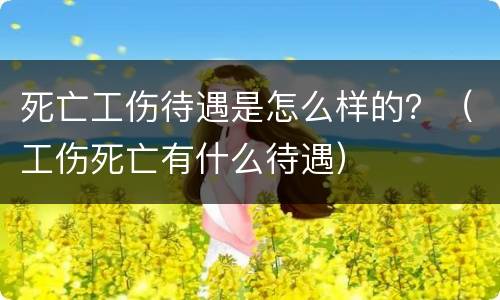 死亡工伤待遇是怎么样的？（工伤死亡有什么待遇）