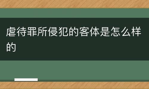 虐待罪所侵犯的客体是怎么样的