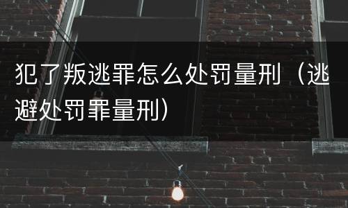 犯了叛逃罪怎么处罚量刑（逃避处罚罪量刑）