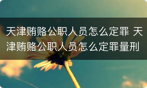 天津贿赂公职人员怎么定罪 天津贿赂公职人员怎么定罪量刑标准