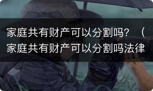 家庭共有财产可以分割吗？（家庭共有财产可以分割吗法律规定）