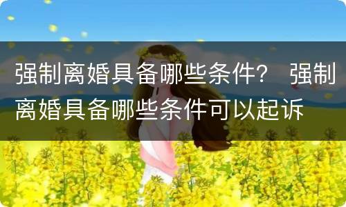 强制离婚具备哪些条件？ 强制离婚具备哪些条件可以起诉