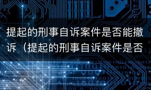 提起的刑事自诉案件是否能撤诉（提起的刑事自诉案件是否能撤诉成功）