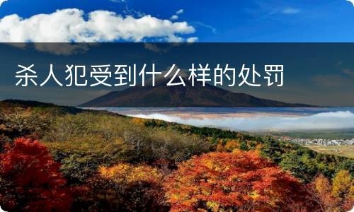 杀人犯受到什么样的处罚