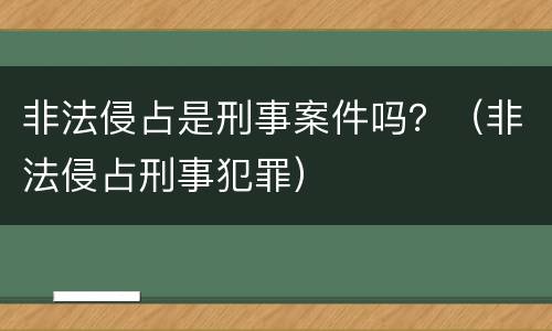 非法侵占是刑事案件吗？（非法侵占刑事犯罪）