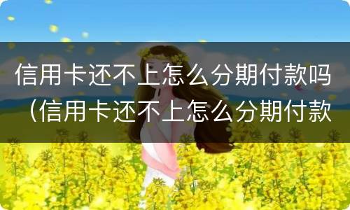 信用卡还不上怎么分期付款吗（信用卡还不上怎么分期付款吗还用还吗）