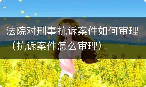 法院对刑事抗诉案件如何审理（抗诉案件怎么审理）