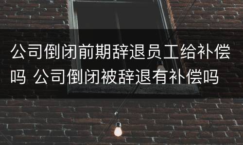 公司倒闭前期辞退员工给补偿吗 公司倒闭被辞退有补偿吗