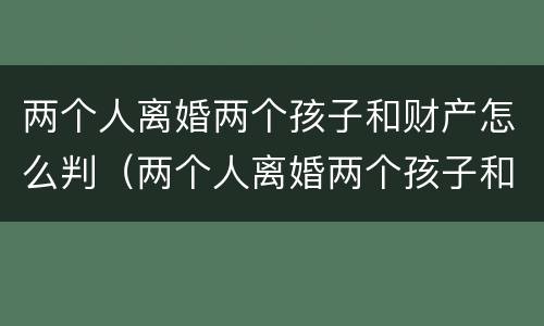 两个人离婚两个孩子和财产怎么判（两个人离婚两个孩子和财产怎么判离）