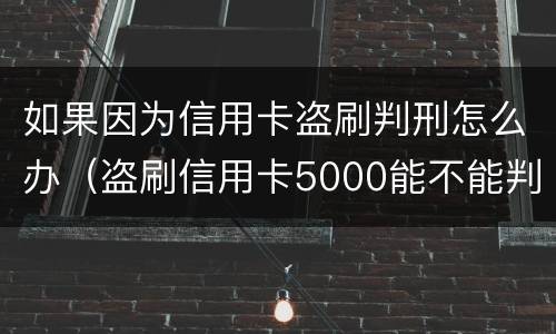 如果因为信用卡盗刷判刑怎么办（盗刷信用卡5000能不能判刑）