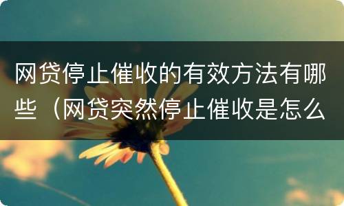 网贷停止催收的有效方法有哪些（网贷突然停止催收是怎么回事?）