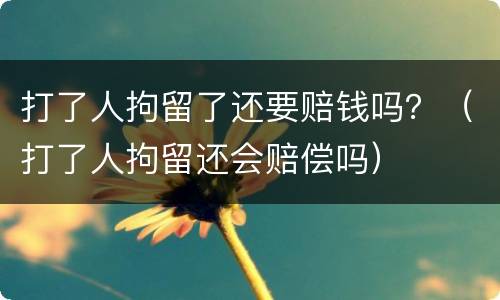 打了人拘留了还要赔钱吗？（打了人拘留还会赔偿吗）