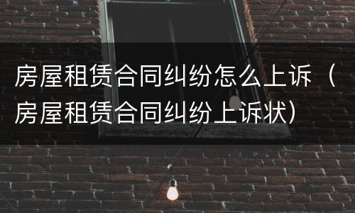 房屋租赁合同纠纷怎么上诉（房屋租赁合同纠纷上诉状）