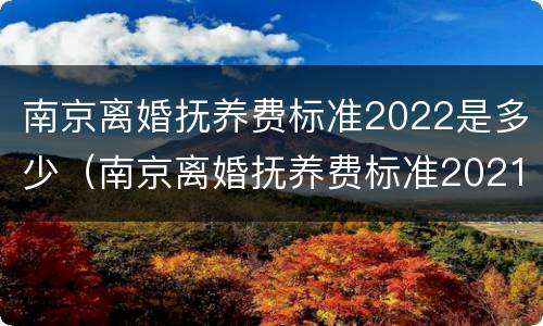 南京离婚抚养费标准2022是多少（南京离婚抚养费标准2021）