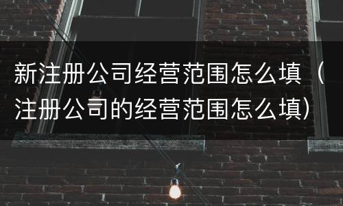新注册公司经营范围怎么填（注册公司的经营范围怎么填）
