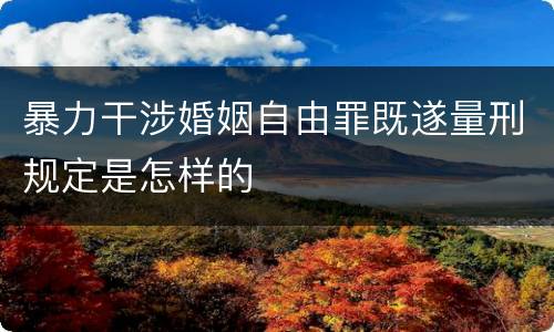 暴力干涉婚姻自由罪既遂量刑规定是怎样的
