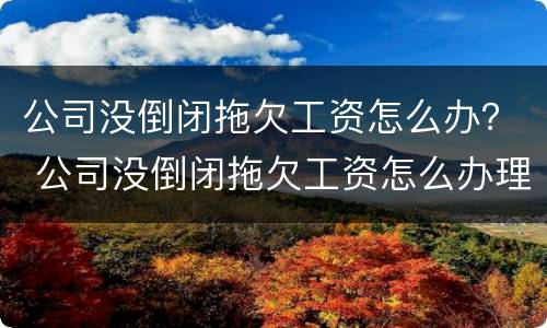 公司没倒闭拖欠工资怎么办？ 公司没倒闭拖欠工资怎么办理