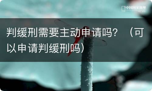 判缓刑需要主动申请吗？（可以申请判缓刑吗）