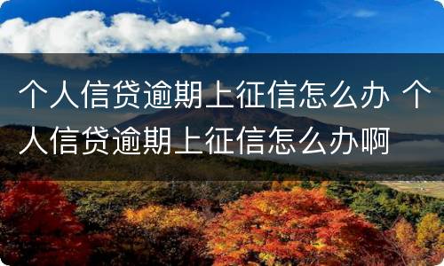 个人信贷逾期上征信怎么办 个人信贷逾期上征信怎么办啊
