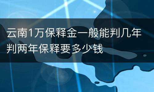 云南1万保释金一般能判几年 判两年保释要多少钱