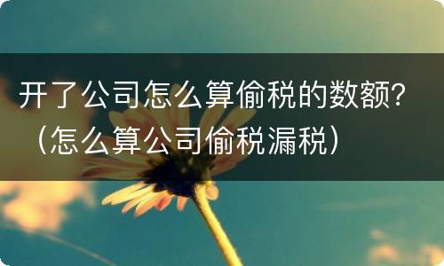 开了公司怎么算偷税的数额？（怎么算公司偷税漏税）