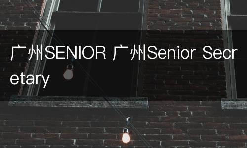 广州SENIOR 广州Senior Secretary