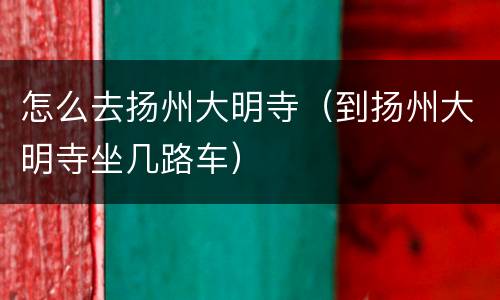 怎么去扬州大明寺（到扬州大明寺坐几路车）