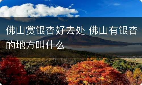 佛山赏银杏好去处 佛山有银杏的地方叫什么