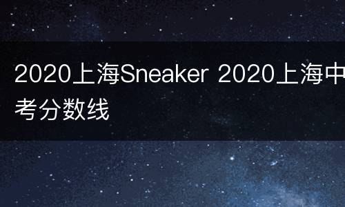 2020上海Sneaker 2020上海中考分数线