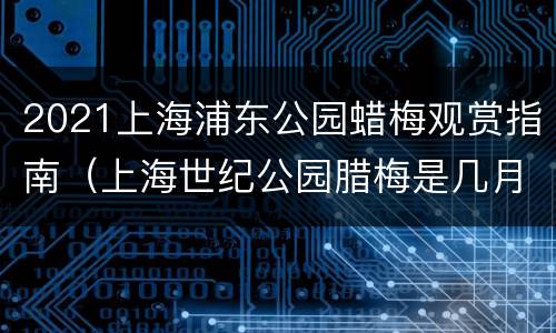 2021上海浦东公园蜡梅观赏指南（上海世纪公园腊梅是几月开花）