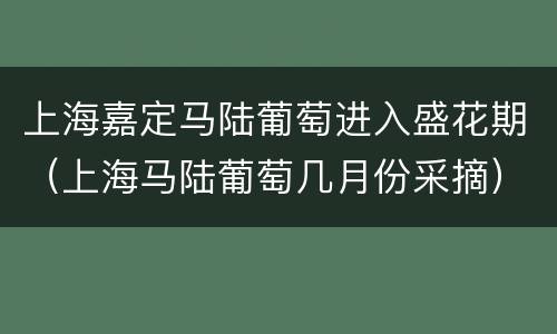 上海嘉定马陆葡萄进入盛花期（上海马陆葡萄几月份采摘）