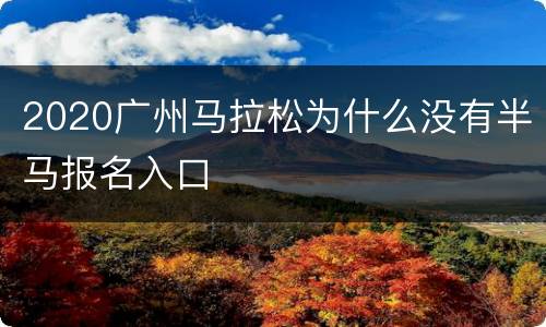2020广州马拉松为什么没有半马报名入口
