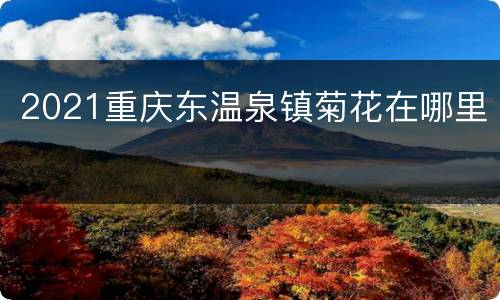 2021重庆东温泉镇菊花在哪里