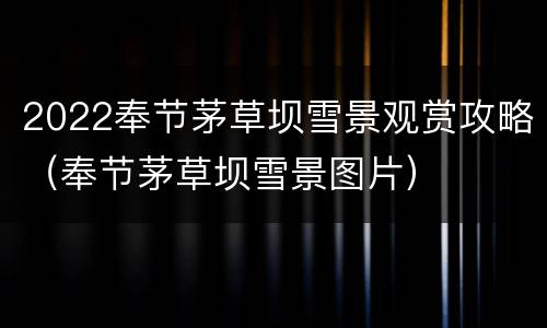 2022奉节茅草坝雪景观赏攻略（奉节茅草坝雪景图片）