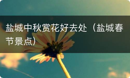 盐城中秋赏花好去处（盐城春节景点）