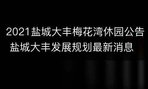 2021盐城大丰梅花湾休园公告 盐城大丰发展规划最新消息